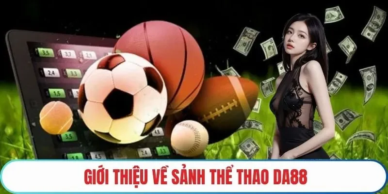 Giới thiệu về sảnh thể thao