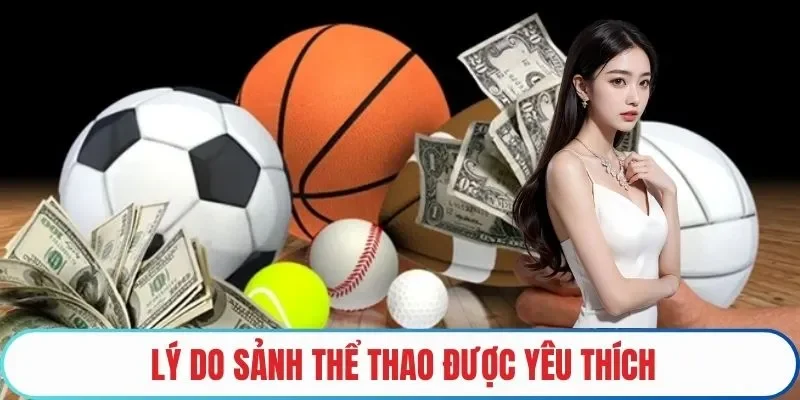 Lý do sảnh thể thao được yêu thích